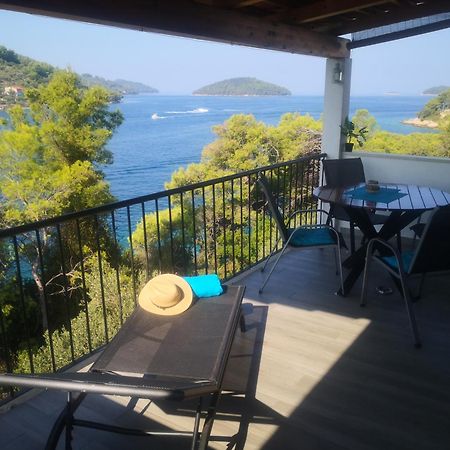 Apartments With Sea Views Vela Luka Room photo